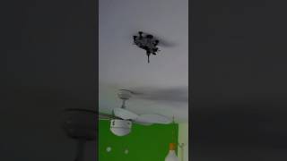 The only right way to display an AT-TE (Poster Putty under each foot so it can be placed anywhere)