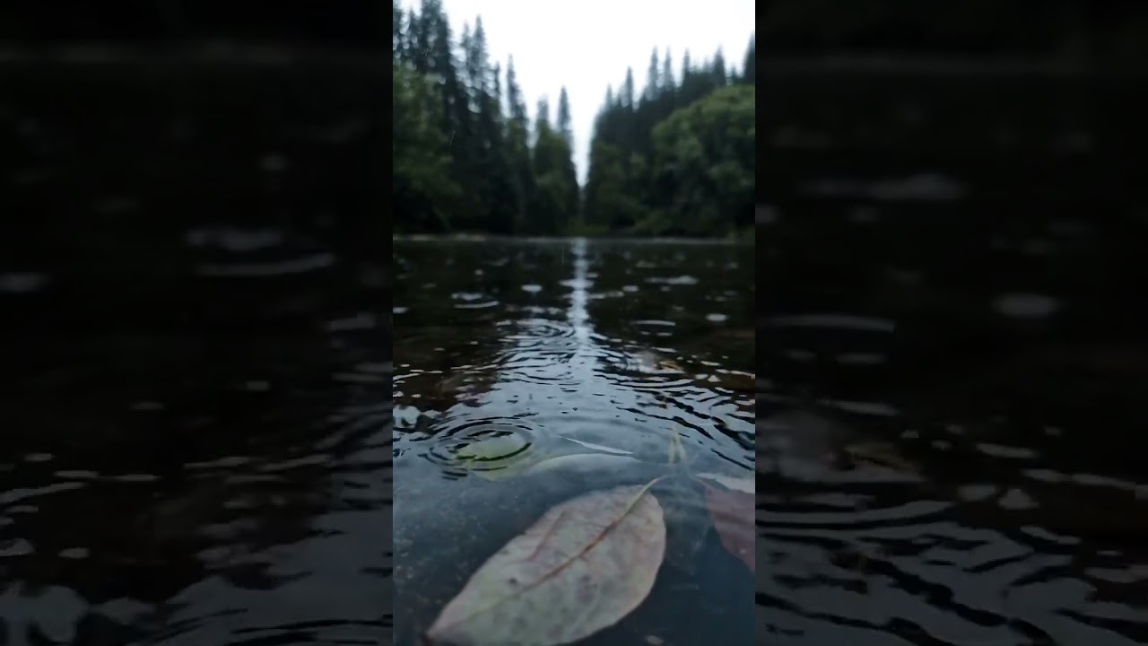 Distorted reflection