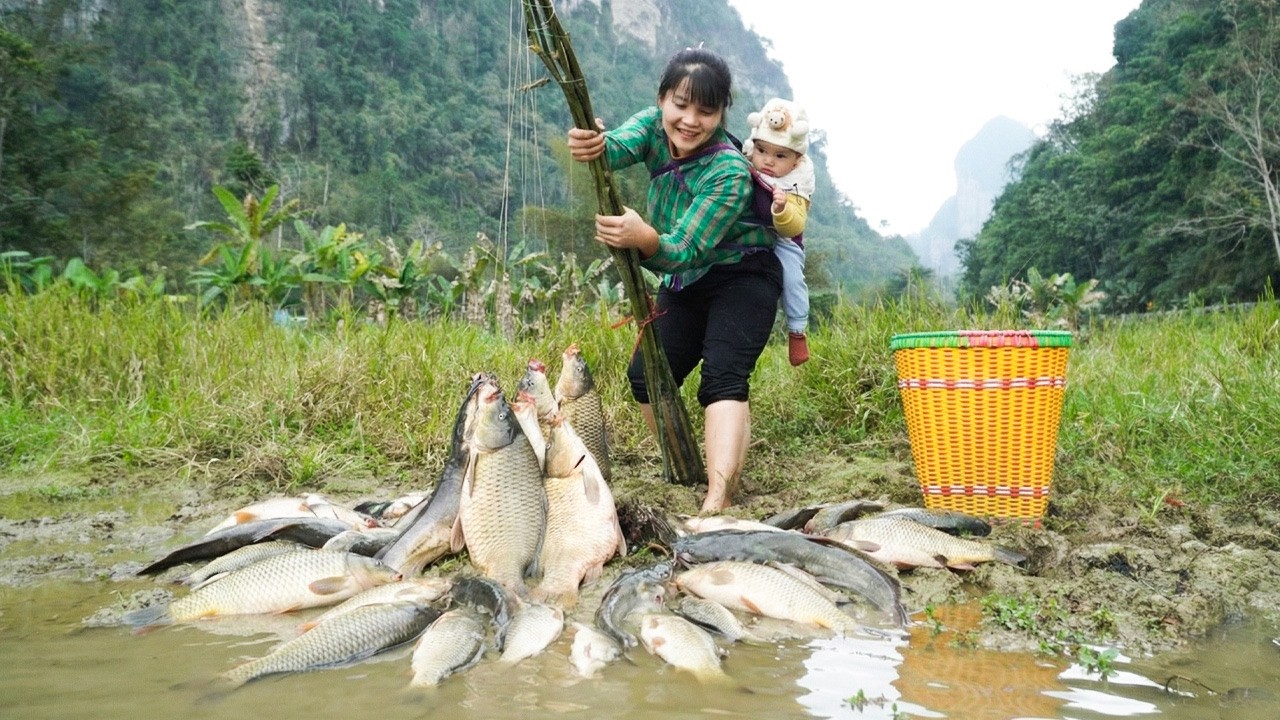 1 day and night journey with my children to catch fish   trap giant fish to sell at the market