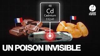 Cadmium, un mal français : pourquoi nous sommes plus touchés que nos voisins européens