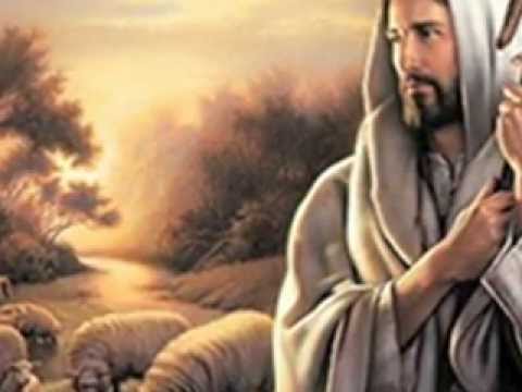 هاني نبيل يا سبب فرحتنا