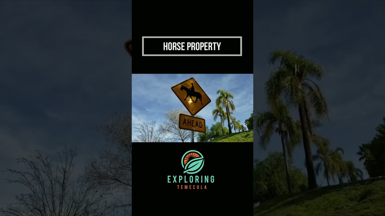LOS RANCHITOS TEMECULA HORSE PROPERTY shorts YouTube