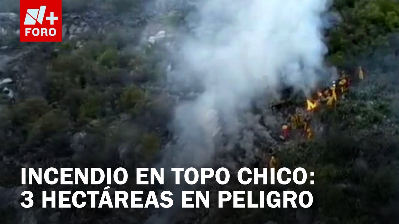 Incendio forestal en el cerro de Topo Chico consume 3 hectáreas - Las ...