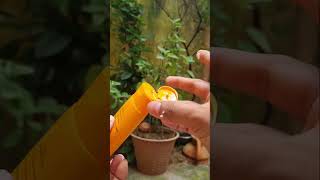 New Golden Hour Sun Screen