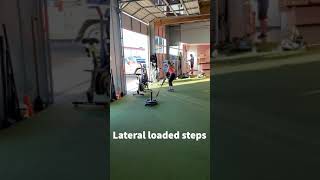 Lateral sled steps