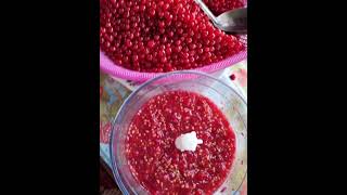 джем из красной смородины! сахар один к одному!#джем #варенье #кухнякаримы