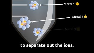 How to find tiny traces of toxic heavy metals faster in food and water