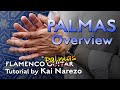 Flamenco Palmas Overview Tutorial by Kai Narezo