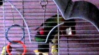 MVI_0126.AVI