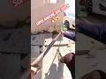 Kabaddi Game Play #kabaddi #shorts #ytviral #streetdogrevival #pets #animals