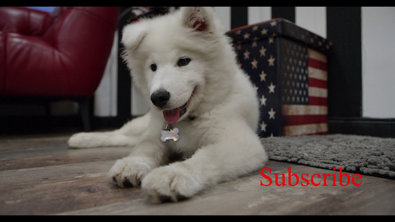 Marker and shaping training