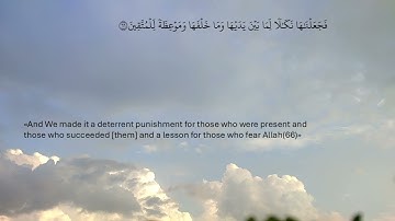 سورة البقرة - صفحة 10 - محمد صديق المنشاوي