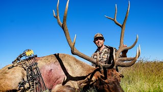 DECEPTION (An INSANE archery elk hunt) screenshot 4