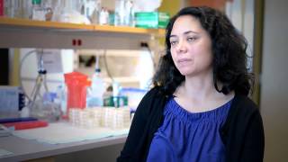 EVMS Biotech and Research Master's Programs