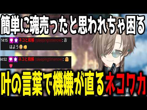 【グラブル雑談】怒ってコメント欄に現れるも、叶の一言でにこにこになるネコワカ【切り抜き/にじさんじ】