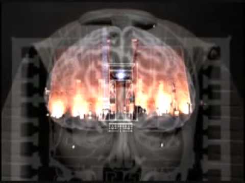 DMT And Near Death Experiences