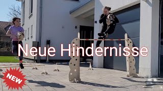 Meine neuen HOBBYHORSE-Hindernisse 🤩 | _hobbyhorsing_de