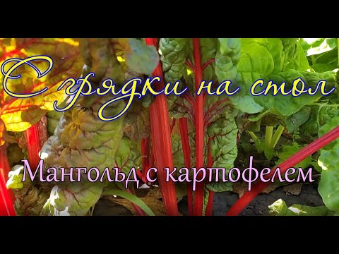 Мангольд с картофелем: просто, вкусно и полезно.