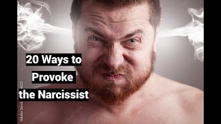 20 Ways to Provoke the Narcissist to Meltdown, Tantrum, Apoplexy