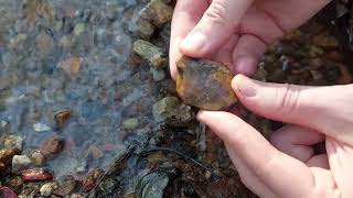 Поиск камней в ручье Московской области - халцедон, беслоснежный кварц, возможно яшма...