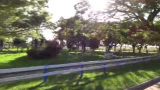 Video Desafío Bonpland