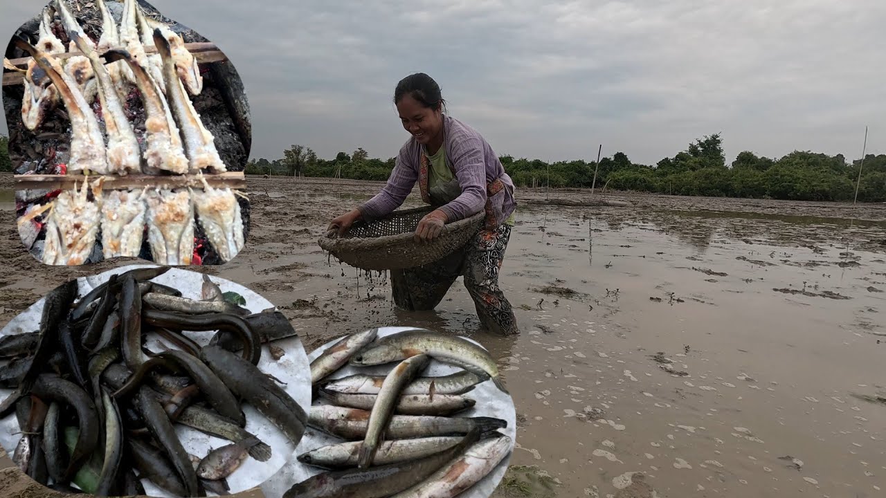 ลงบึง ปี้งปลาค่อ//ລົງບຶງ ປີ້ງປນຄໍ່