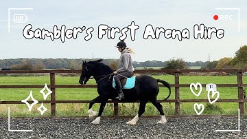 Kunnen we mijn paard Gambler ombouwen tot een bereden showpaard, klaar voor het showseizoen van 2...
