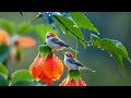 sleep music for kids bedtime music for children | By My kids songs#sleep #lullaby #little