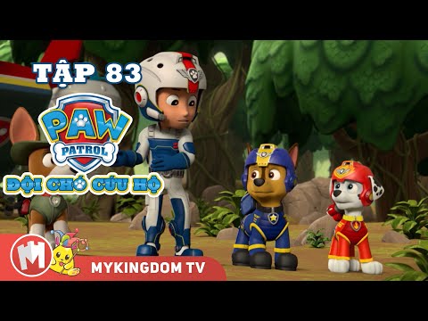 ĐỘI CHÓ CỨU HỘ PAW PATROL MINI | Tập 83 | Phim hoạt hình