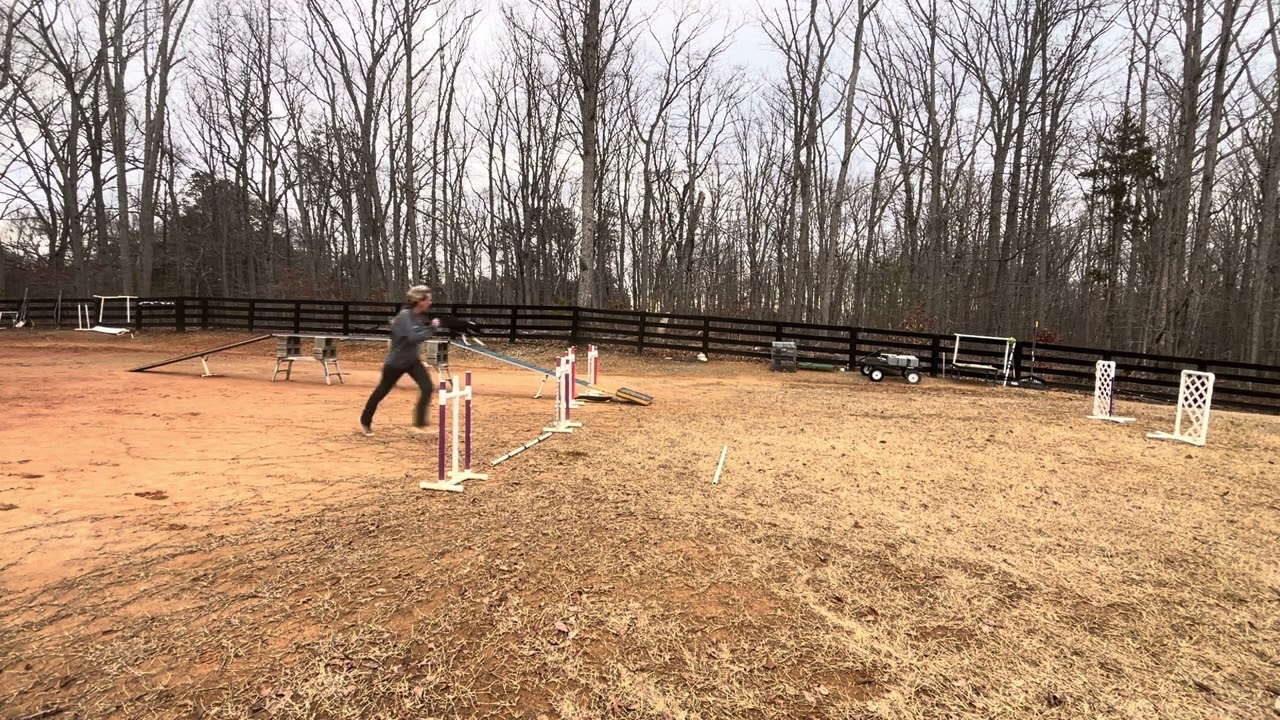 Watch working 4ft DW restart