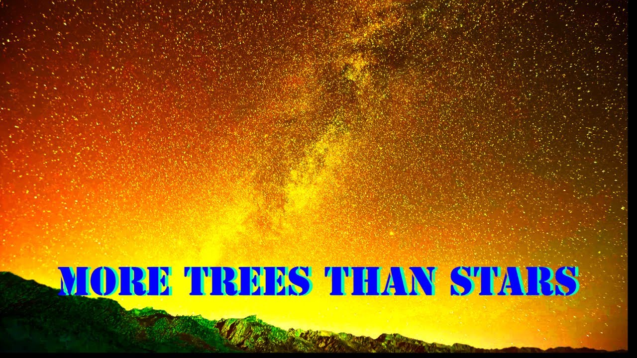 TN B Music More Trees Than Stars YouTube Tn b music more trees than stars youtube
