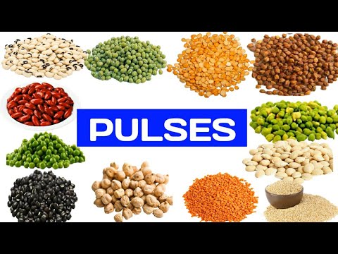 PULSES NAMES | PULSES NAMES IN ENGLISH | DAL NAMES | NAMES PULSES |