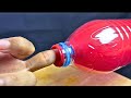 Fun Home Experiment You’ve Got to Try!