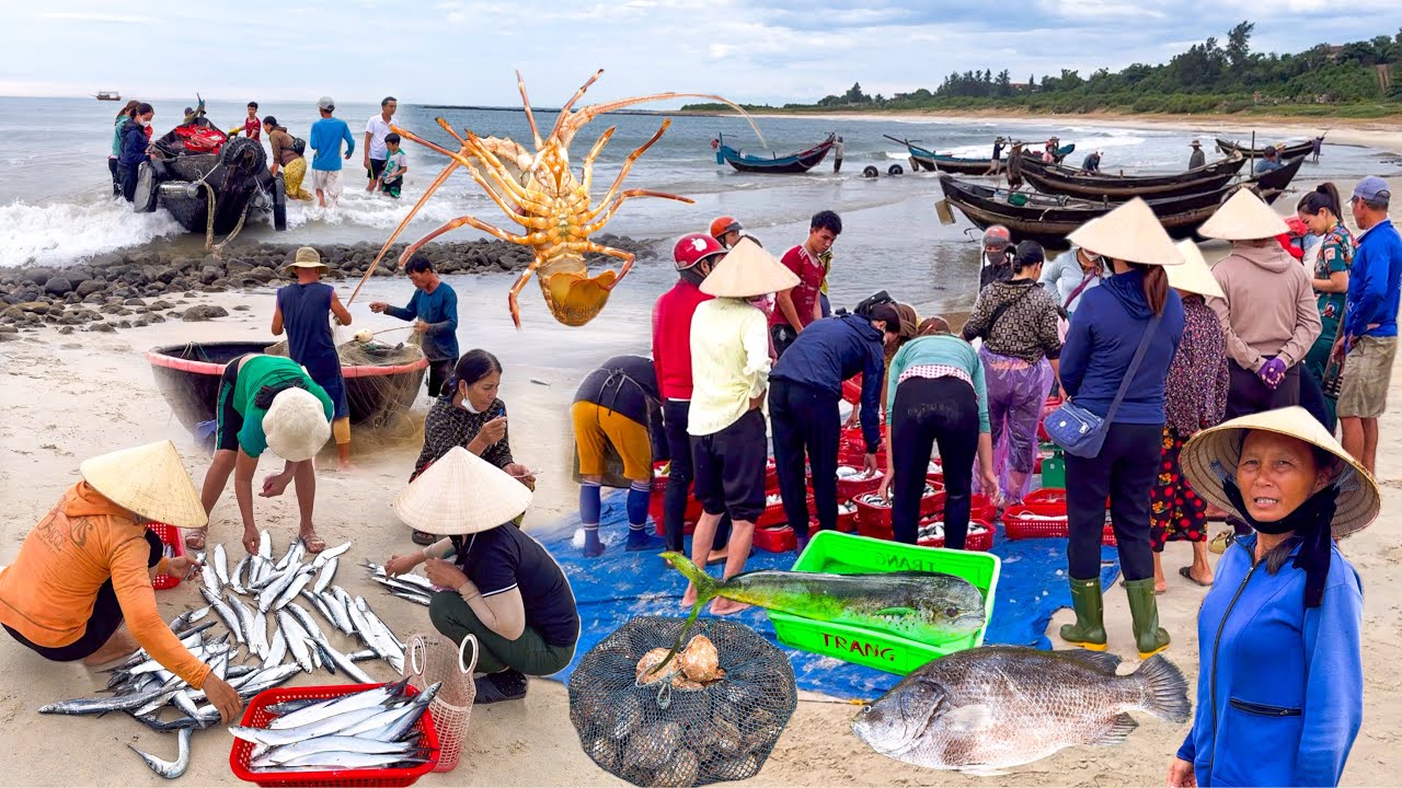Vịnh Mốc Lưới Tôm Hùm Cá Rựa | Chợ Đông Hà Lớn Nhất Quảng Trị