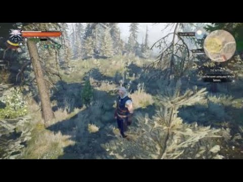 Geralt heroin nod
