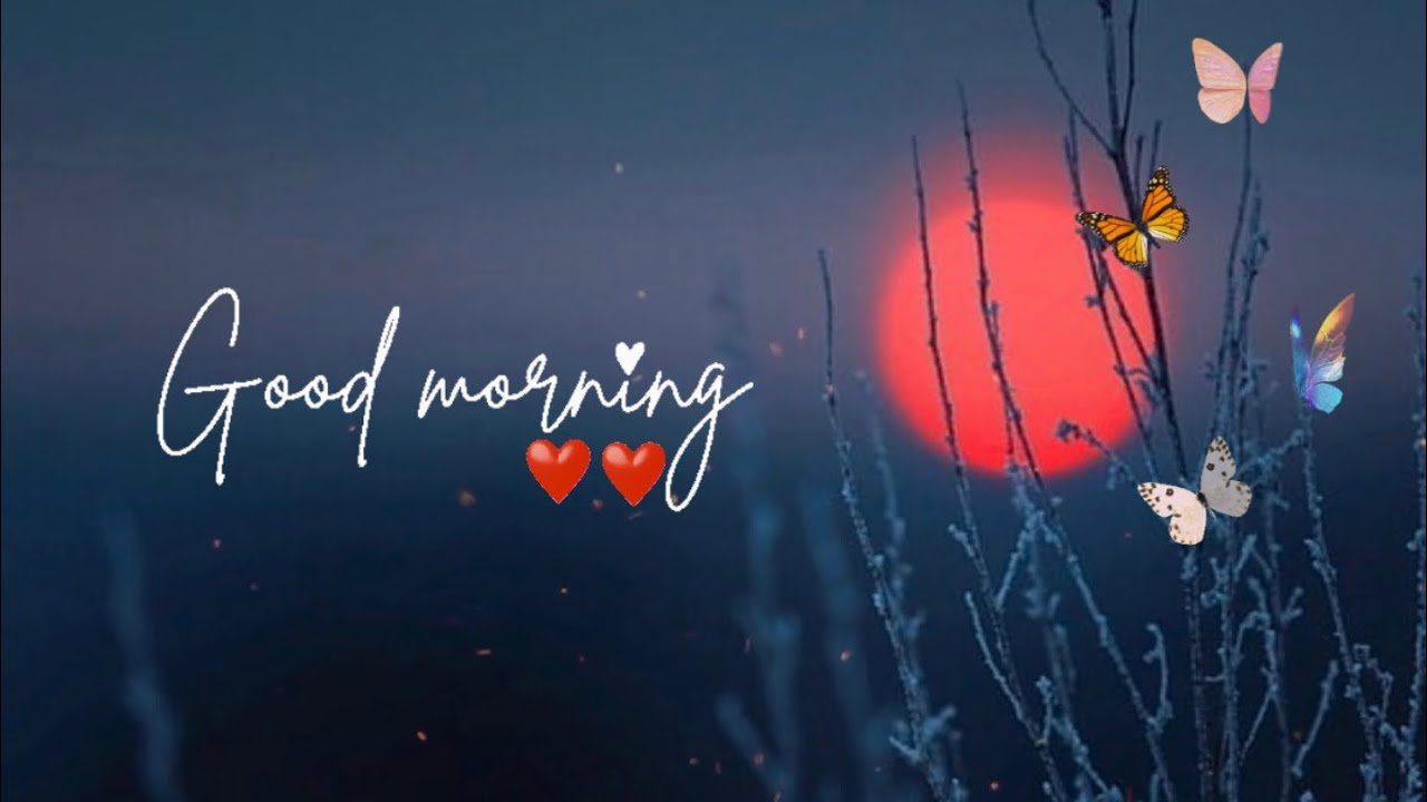 Trust is the soul of relationship New Good Morning WhatsApp Status