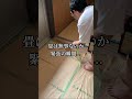 9ヶ月前に貼った床剥がした結果 #diy #インテリア #一人暮らし #賃貸 #shorts
