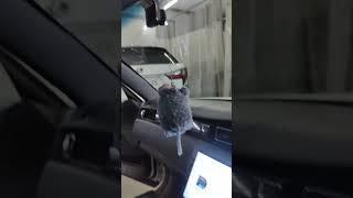 10 дюймов андройд в Toyota Crown 150