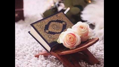 سورة التوبة من الآية 23 وحتى الآية 27.. بصوت فضيلة الشيخ إبراهيم الهاشم
