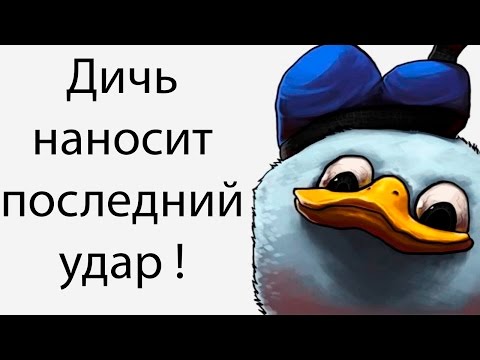 Дичь наносит последний удар ! ( Bird Assassin )