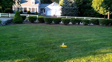 Blade MCPX 3D, Blade MCPX