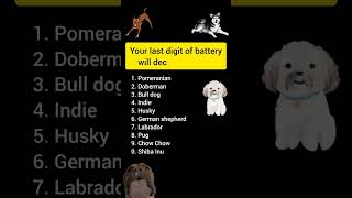 Comment which dog did you get ? subscribe battery poll