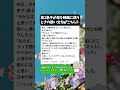 ㊗️200万再生!【高2息子】母を映画に誘うときの誘い文句がこちら💁♀️ #男子高校生 #母あるある #親子の時間