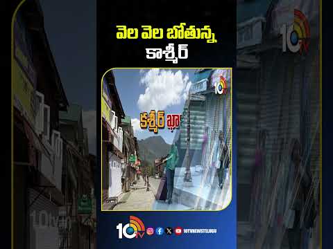 వెల వెల బోతున్న కాశ్మీర్ jammukashmirnews jammukahsmirnews nationalnews 10tvnews shorts