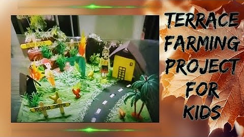 Terrace Farming School Project || step farming modal || science project || kids school project