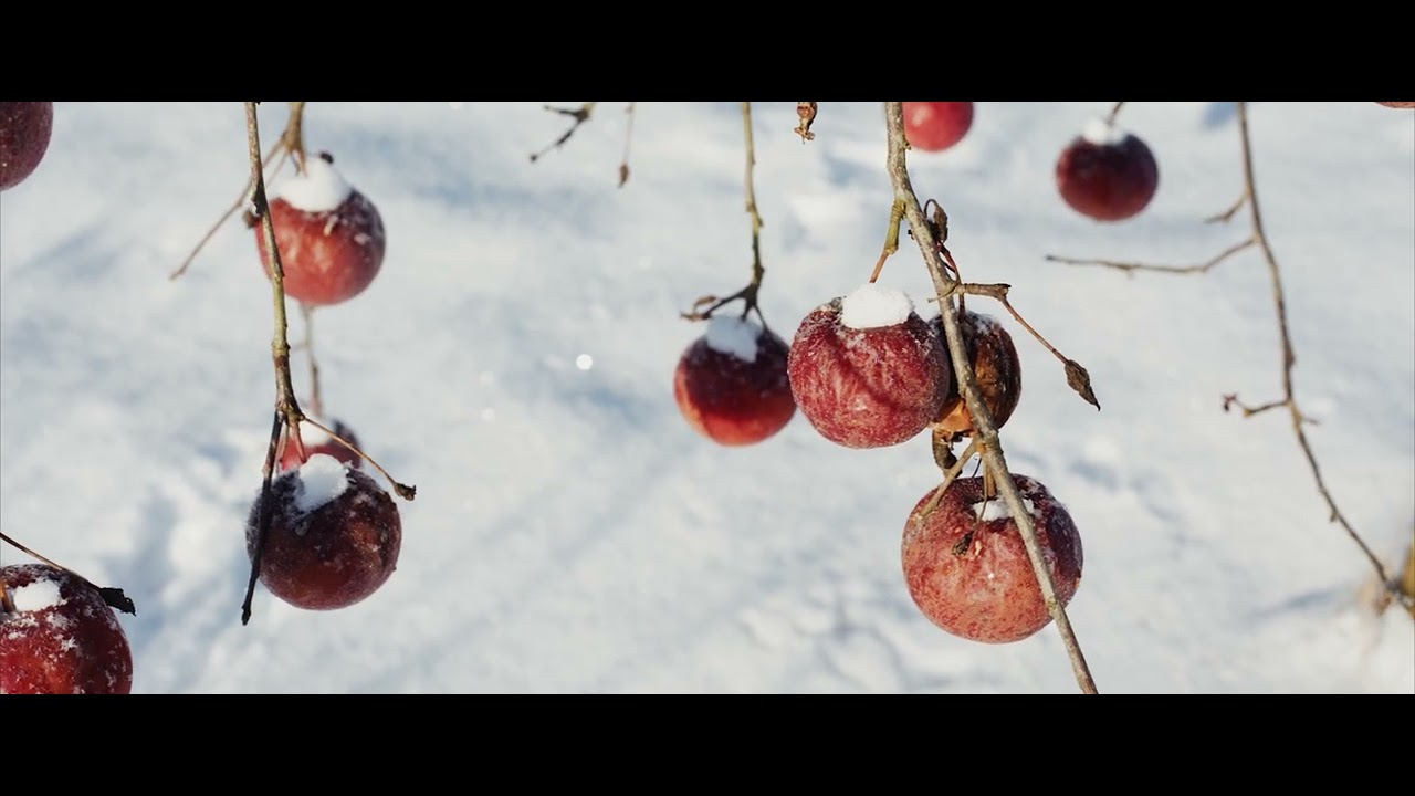 Zimowy krajobraz - fotokast / videokast | Canon 6D Magic Lantern & Sony A7III