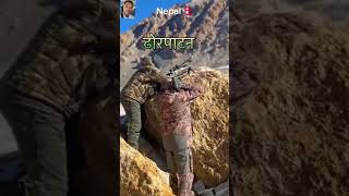 dhorpatan nepalko thulo lekha ho 🇳🇵#viralvideo