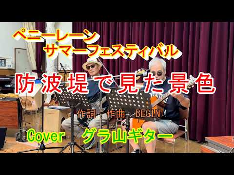 「防波堤で見た景色」BEGIN covered by グラ山ギター 高砂