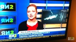Mermaid Sighting on Russian Newscast | Mermaids Profile