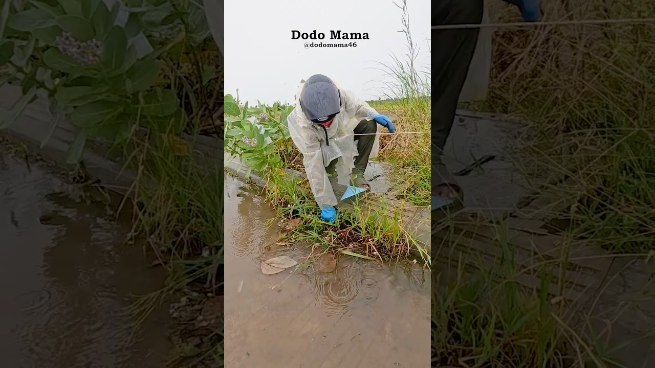 Full Drain Cleaning Operation  Restoring Proper Water Flow